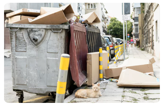 Junk Removal Services
